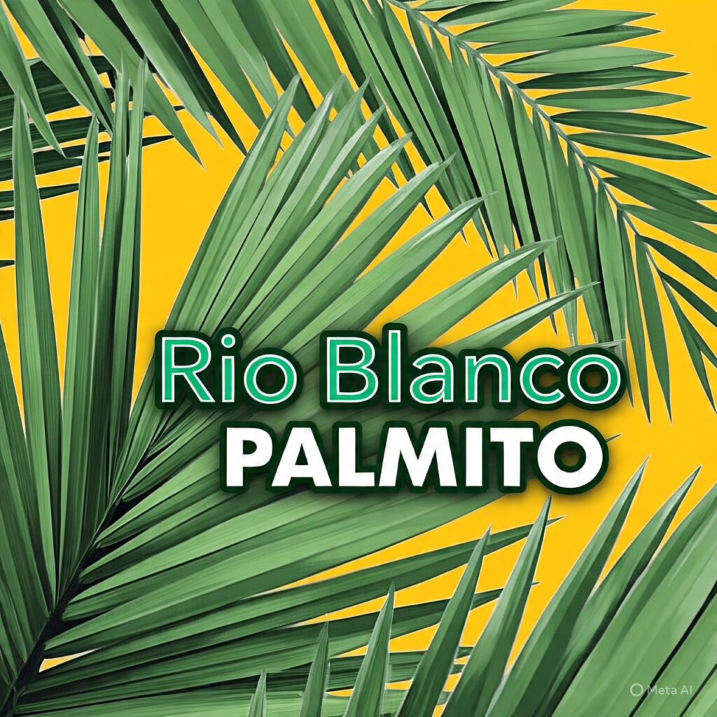 Imagen de galería Rioblanco 1